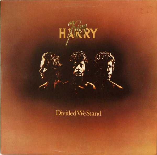 King Harry : Divided We Stand (Käyt. LP)