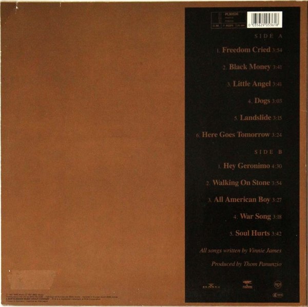Vinnie James : All American Boy LP (Käyt)