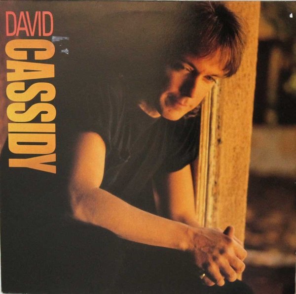 David Cassidy : Labor Of Love LP