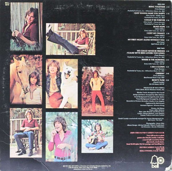 David Cassidy : Cherish LP (Käyt)