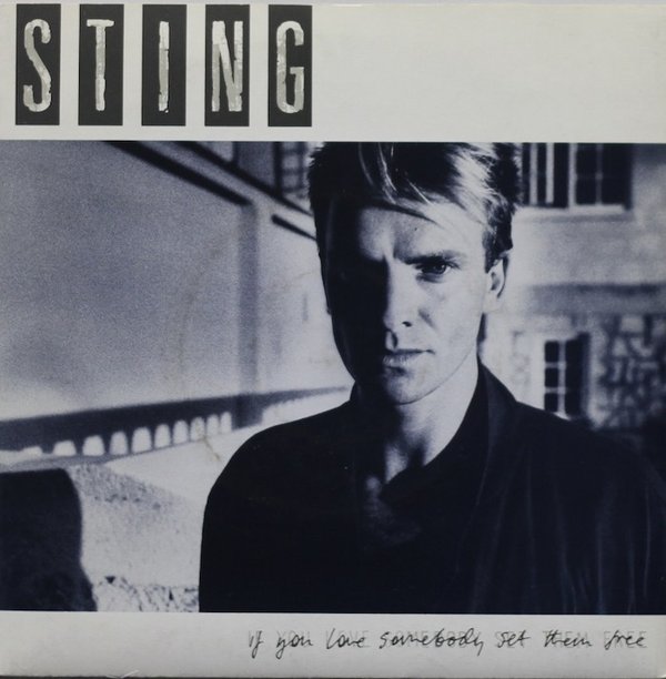 Sting : If You Love Somebody Set Them Free 7" (Käyt)