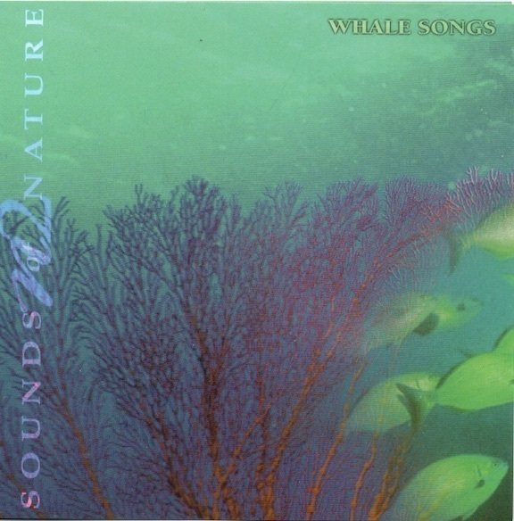 Paul Rayner-Brown : Whale Songs - Sounds of Nature CD (Käyt)